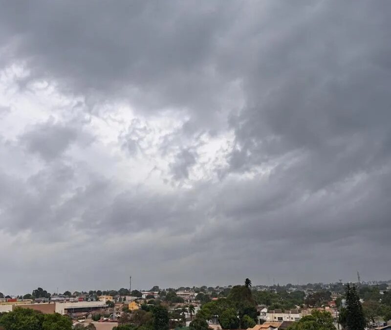 Temporal derruba árvores em Dourados e coloca 54 cidades de MS em alerta laranja